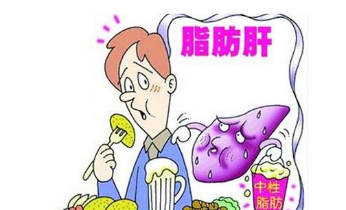 脂肪肝飲食治療法