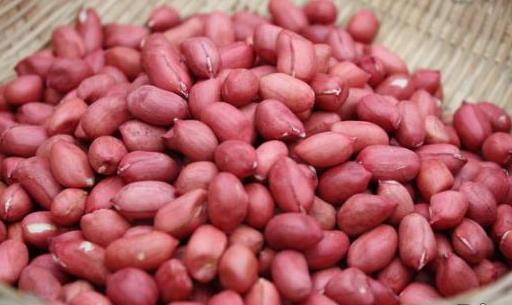 2款卵巢保養食療