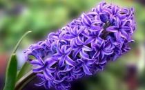 這樣做你的生活更美妙！