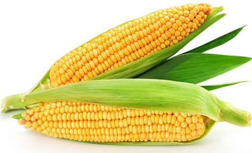 吃什么可以提高記憶力？