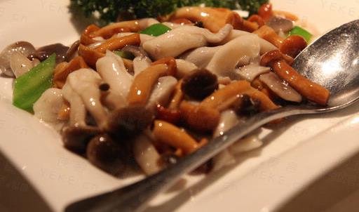 素食真的能讓人長壽嗎？