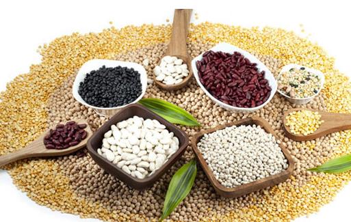 工薪家庭五大營養(yǎng)方案