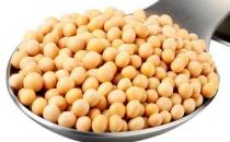 美白護膚養生必吃大豆