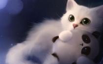 貓糧的選購技巧 給貓咪吃什么最好？