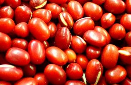 春季祛濕吃什么好？10種祛濕食物推薦