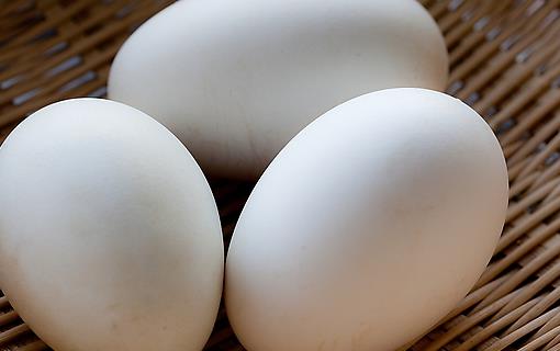 鵝蛋的營養(yǎng)價值 老人兒童要多吃
