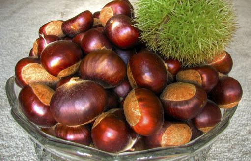 六種養(yǎng)生潤肺食物