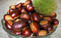 六種養生潤肺食物