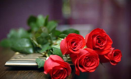 養(yǎng)花的土壤應(yīng)該用什么?