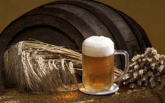 啤酒對于盆花的妙用你都了解嗎？