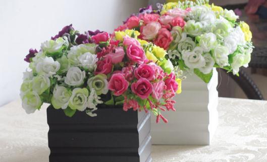 養在衛生間里的花卉如何擺置？