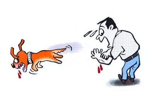 狂犬病的急救常識你知道嗎?