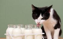 牛奶四種錯搭 惹健康威脅