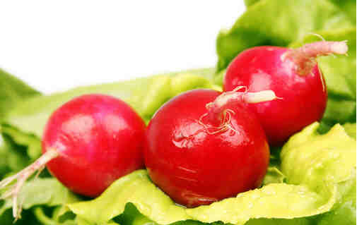 感冒發燒該多吃什么 什么不該吃