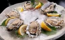 吃生蠔對男人的用處 生蠔的營養價值