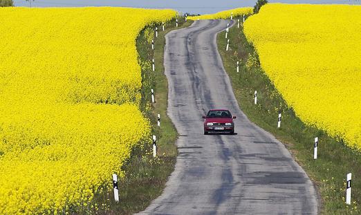 護(hù)照申請(qǐng)的審批有什么規(guī)定?