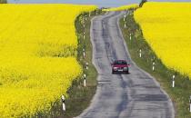 ?護照申請的審批有什么規定？