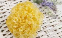 九種滋陰補腎的食物 養好身體很幸福