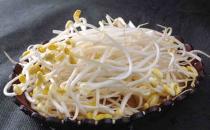 黃豆芽的營(yíng)養(yǎng)價(jià)值有哪些