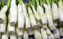 茭白的營養價值與飲食禁忌介紹