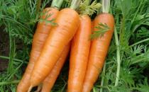 兒童增高飲食八原則 兒童增高吃什么好？