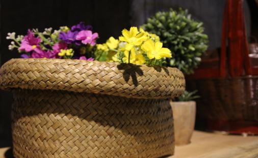 室內(nèi)植物如何選擇才正確?