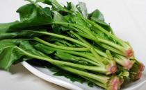 守護女人的10種養生食物