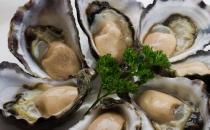 中醫推薦男人進補多補鋅