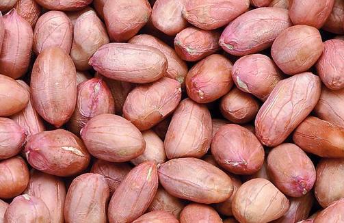 揭最養生的6類男人菜