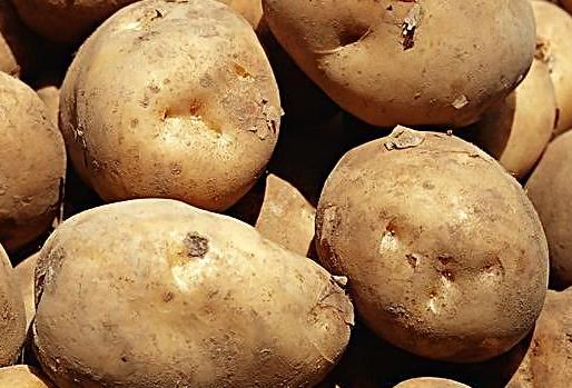 結(jié)石病人不能吃哪些食物?