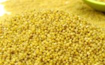 胃寒吃什么好？飲食調理胃寒的方法