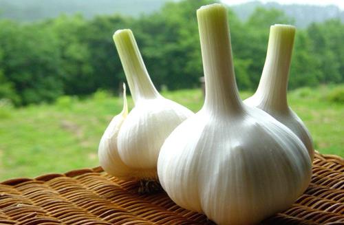 生吃一物可一輩子遠離癌癥