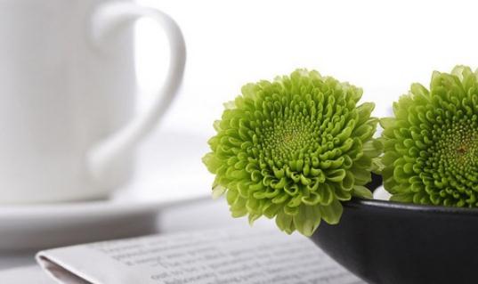 凈化器如何保養和清潔？