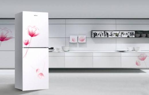 使用節(jié)能冰箱的注意事項(xiàng)