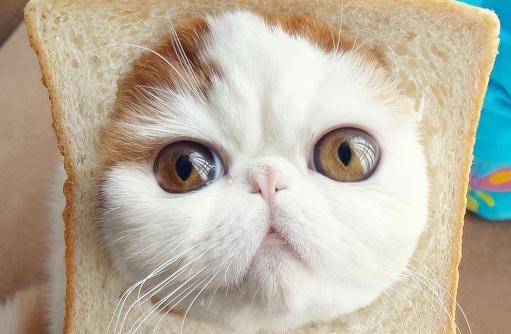 職場女性如何應(yīng)對不平等？