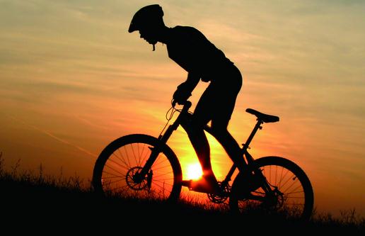 怎樣挑選適合你的老板？