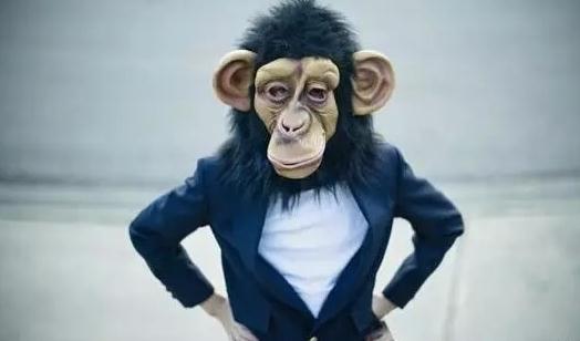 為什么你那么能干卻沒有被提升？