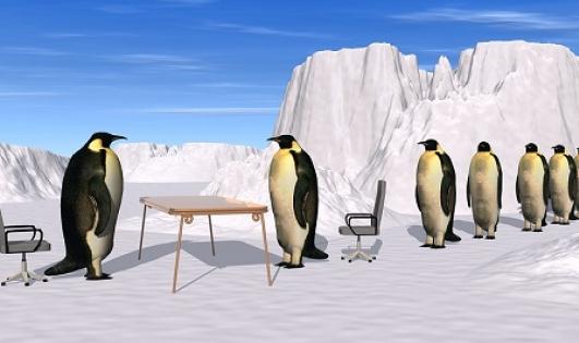 面試結束還需要做什么嗎？