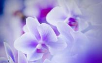 ?招聘季如何寫好你的個人簡歷？