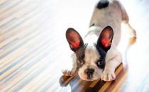 如何快速融入工作新環境？