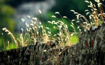 職場新人這樣才能快速融入新環境