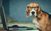 職場拒絕被動(dòng)離開公司