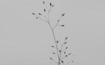 遇到這些原因一定要辭職了