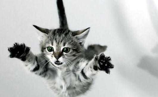 職場跳槽必備指南:巧吃回頭草