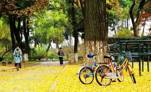 盲目轉(zhuǎn)行可能使職業(yè)滑坡