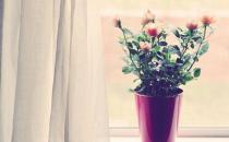 女強(qiáng)人愛發(fā)脾氣 如何擁有好心情？