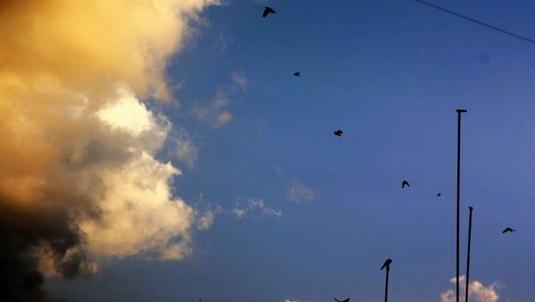 患上“網絡拖延癥”該怎么辦？