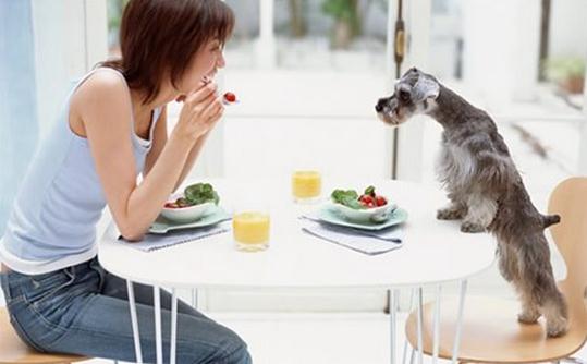 職業女性該如何自我調節心理壓力