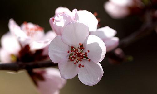 減壓方法助你快樂工作