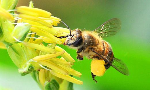 成功者會用這些話激勵(lì)自己